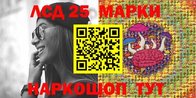шишки Тулун