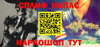 шишки Тулун
