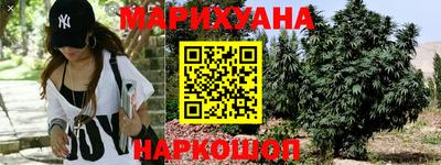 шишки Тулун