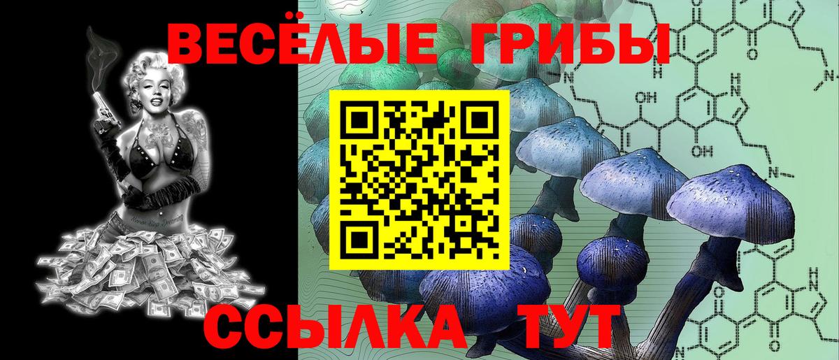 Псилоцибиновые грибы мухоморы Отрадное