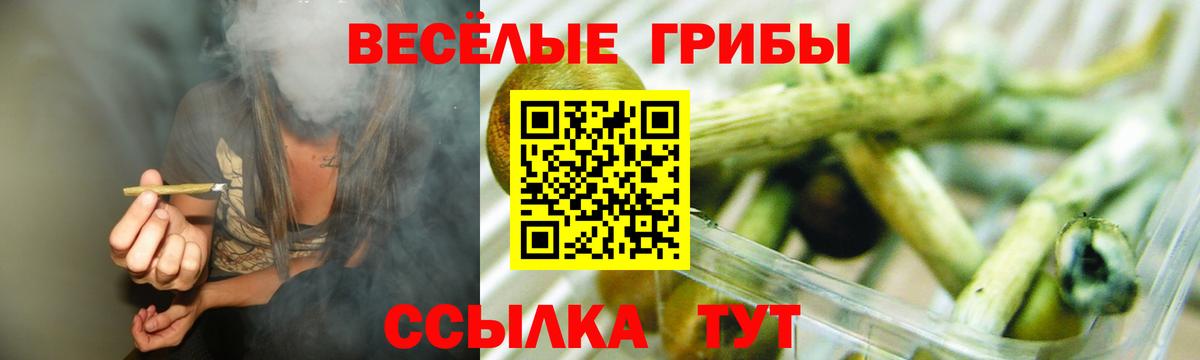 Псилоцибиновые грибы Psilocybe  Вход с VPN  Отрадное 