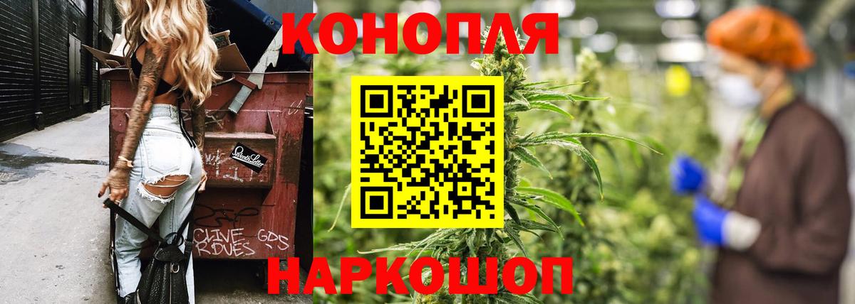 Каннабис OG Kush Отрадное